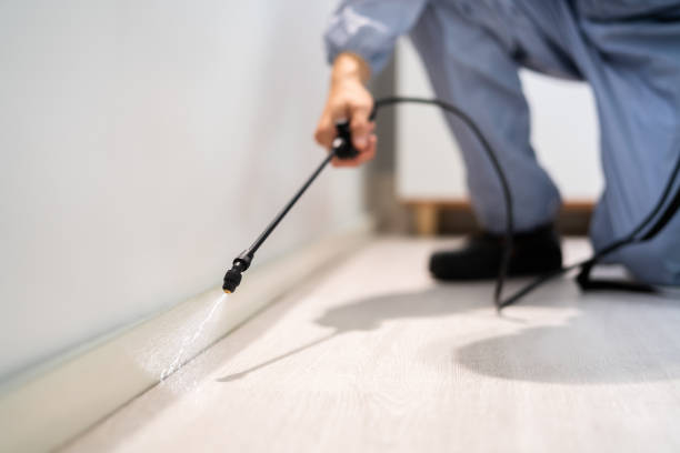 Rodent Entry Point Assessment in Mashpee Neck