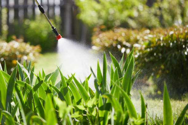 Tamper-Resistant Bait Stations for Rodents in Mashpee Neck