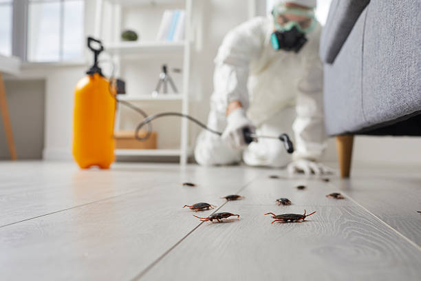 Commercial Rodent Management in Mashpee Neck